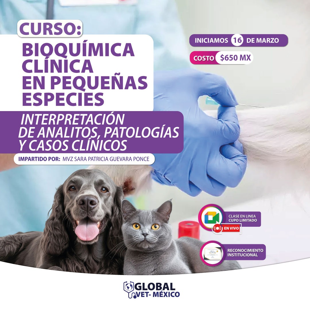 Bioquímica clínica