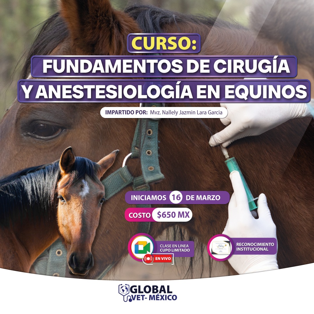 Cirugía veterinaria