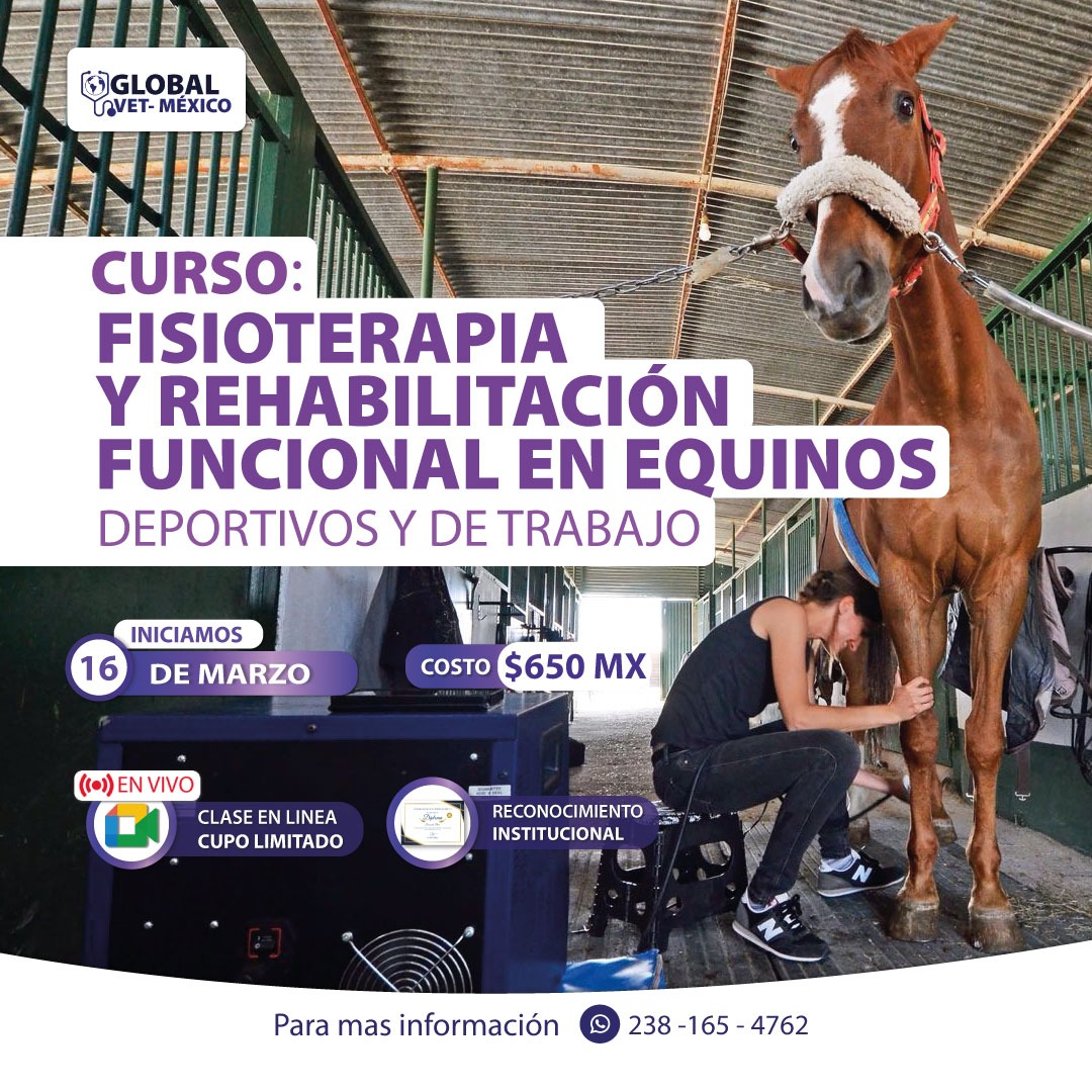 Fisioterapia veterinaria