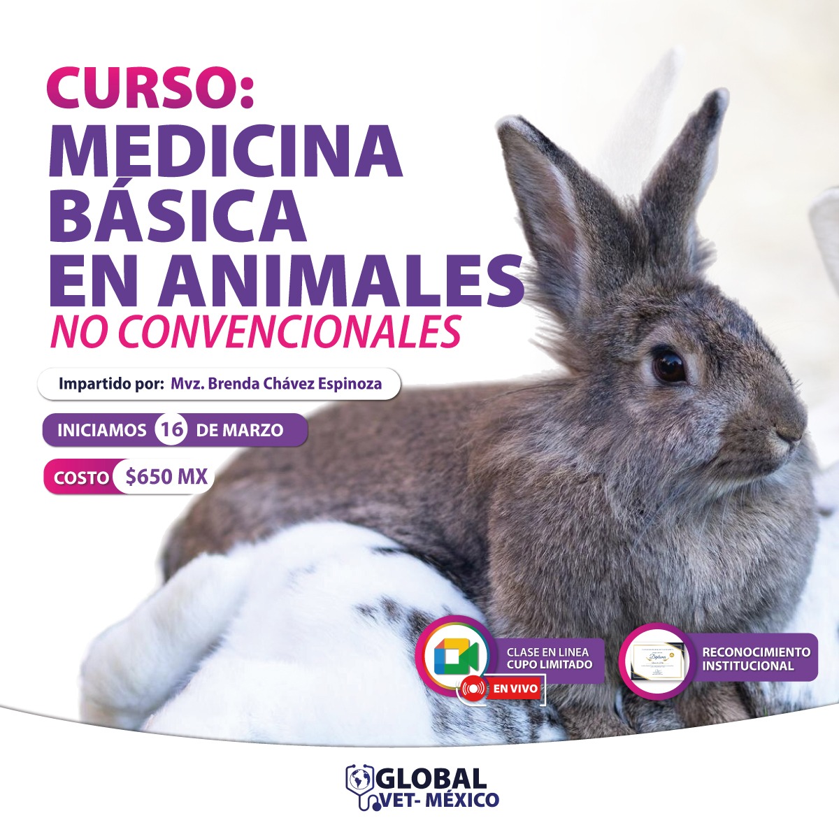 Medicina veterinaria