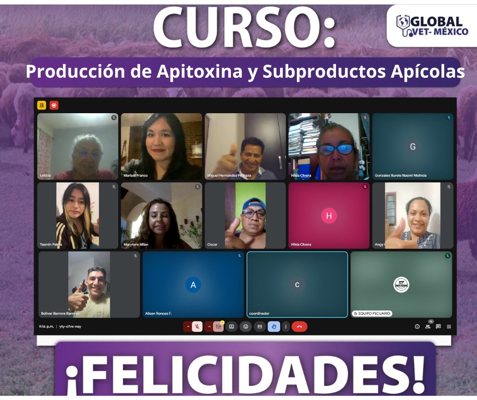 Actividad GlobalVet México 4