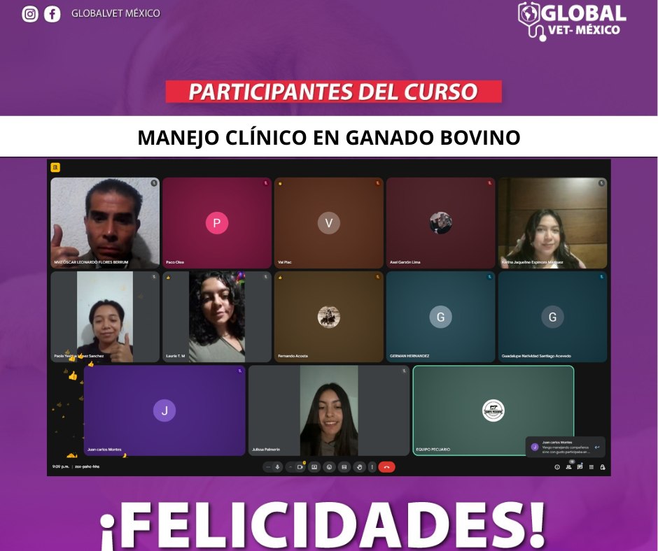 Actividad GlobalVet México 6