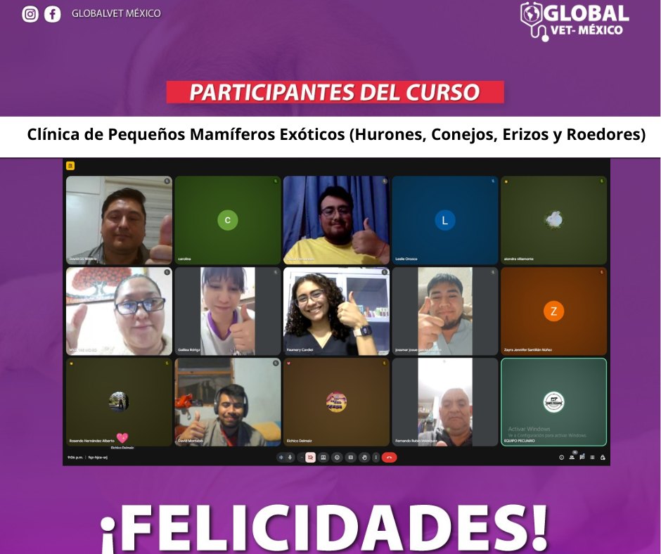 Actividad GlobalVet México 7