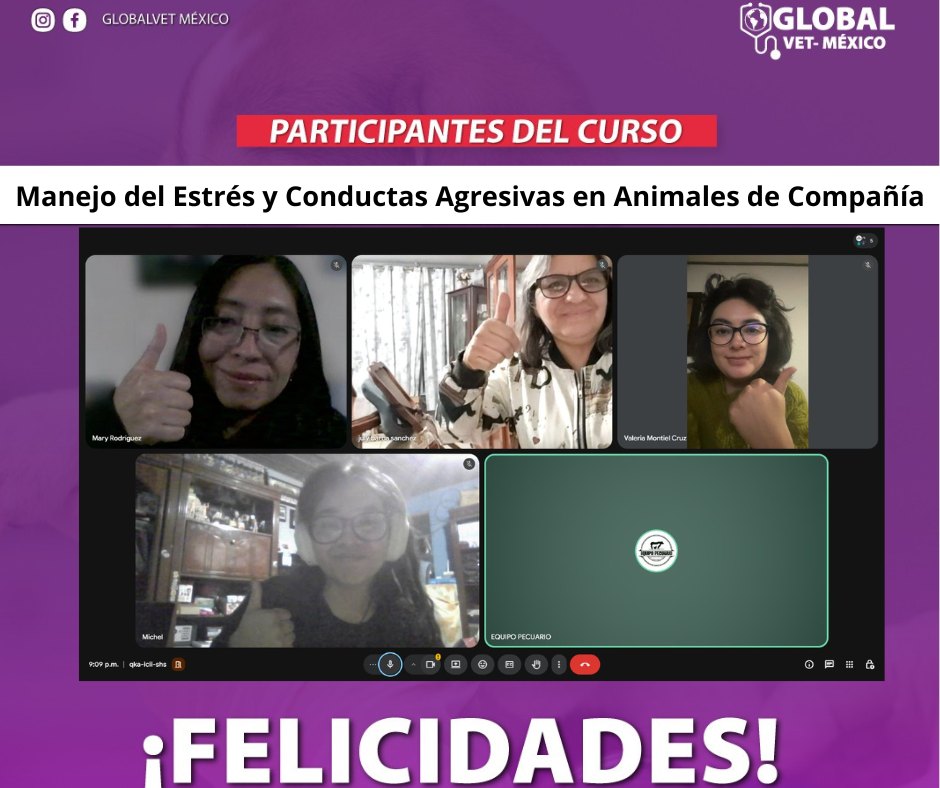 Actividad GlobalVet México 8