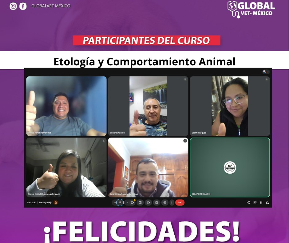 Actividad GlobalVet México 9