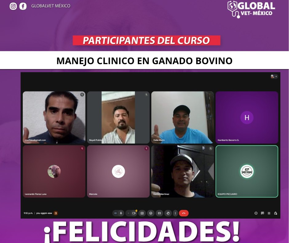 Actividad GlobalVet México 10