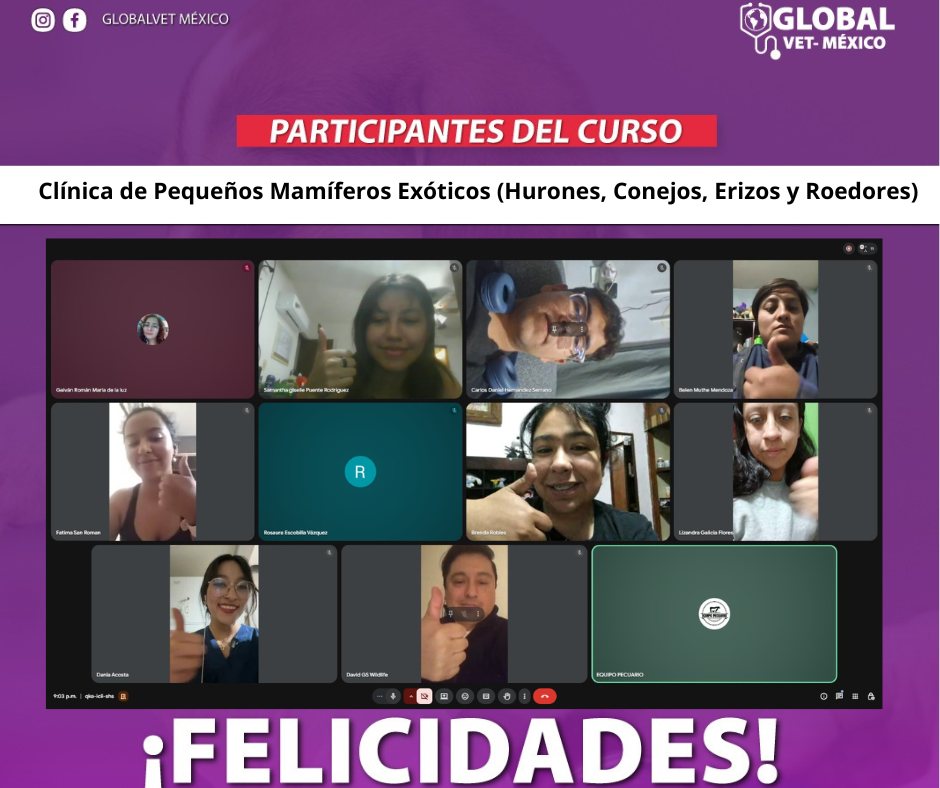 Actividad GlobalVet México 11