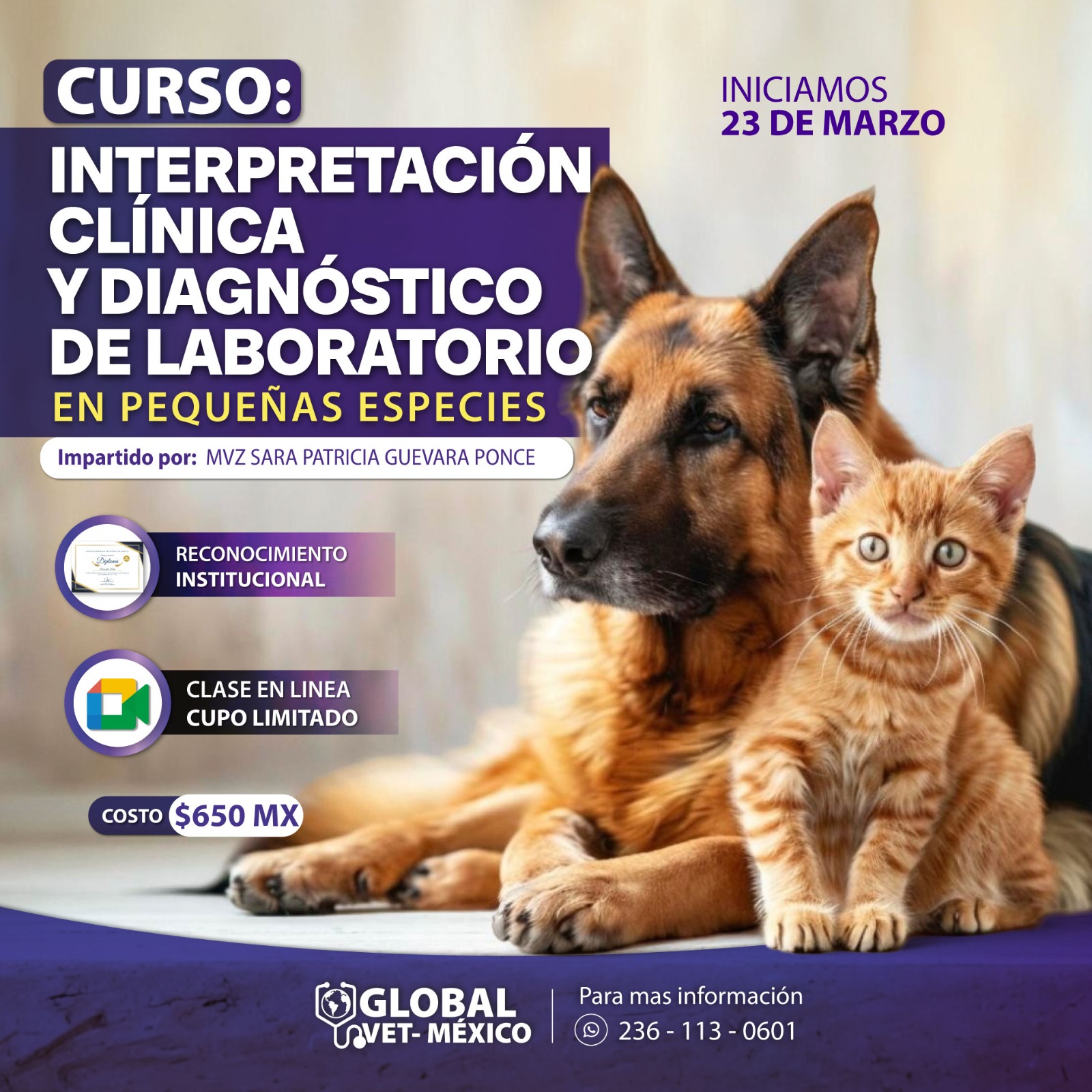 Curso marzo 6