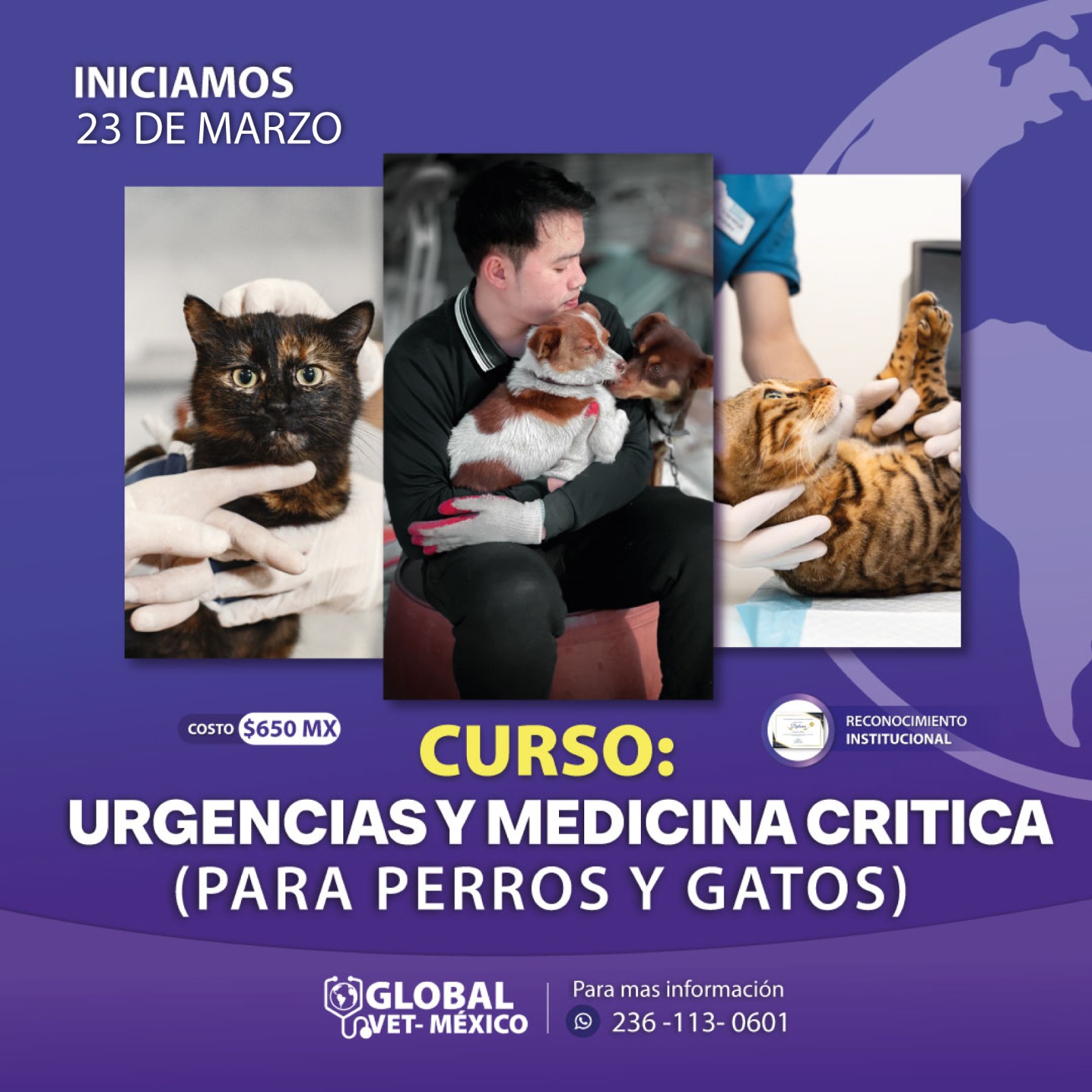 Curso marzo 7