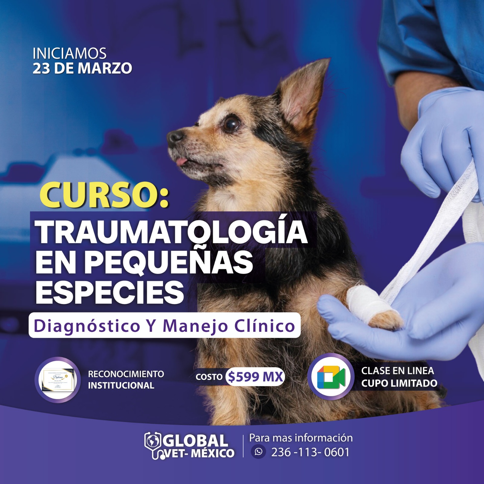 Curso marzo 8