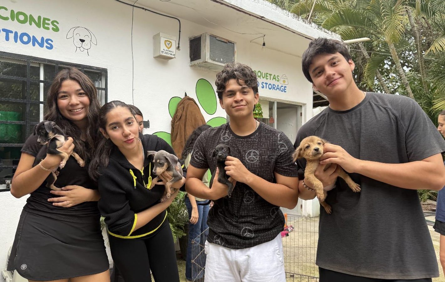 Cursos para estudiantes de veterinaria